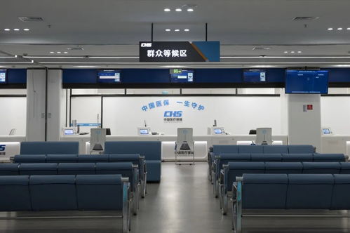 系统升级圆满完成，明日重启名称咨询服务